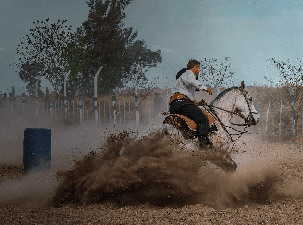 Cavaleiro em traje tradicional gaúcho levanta poeira ao fazer uma curva. Sobreposta está a palavra espanhola "gaucho" com sua tradução em português, "cavaleiro habilidoso".