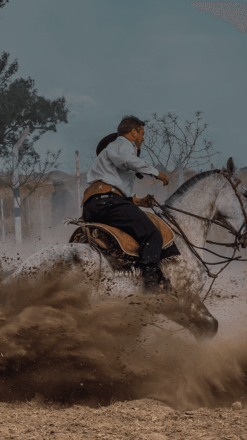 Cavaleiro em traje tradicional gaúcho levanta poeira ao fazer uma curva. Sobreposta está a palavra espanhola "gaucho" com sua tradução em português, "cavaleiro habilidoso".